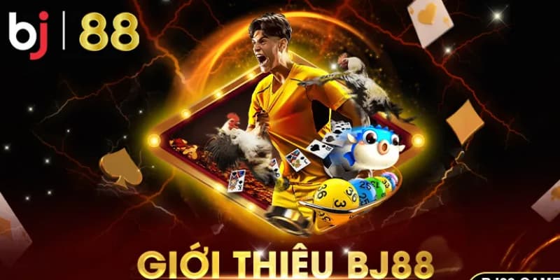 Những thông tin tổng quan về BJ 88