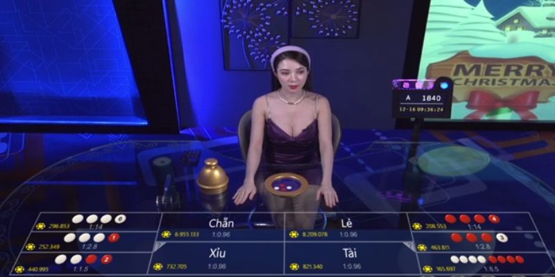 Tổng quan về tool xóc đĩa
